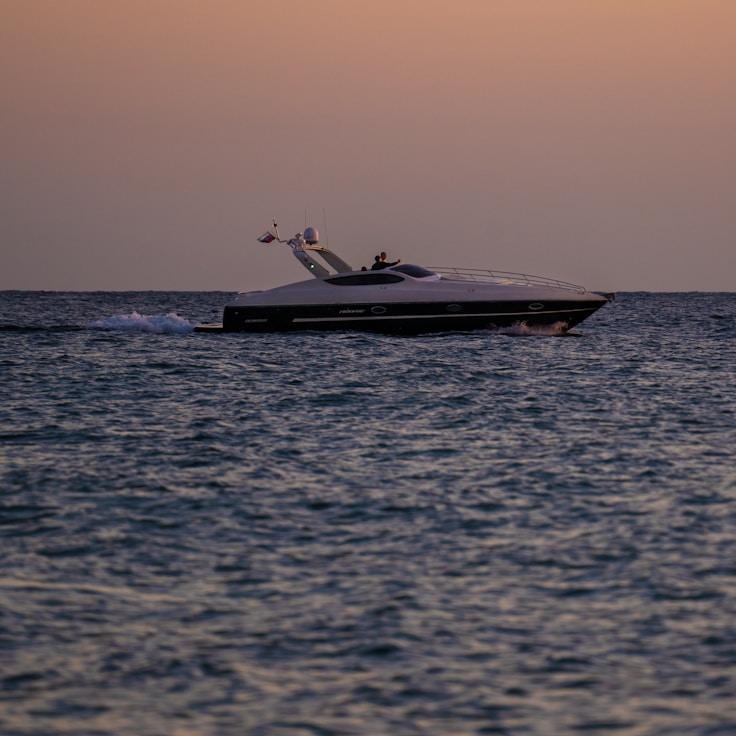 Marine adventure snapshot